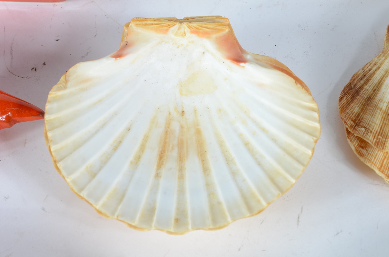 Conjunto de cerâmica na cor laranja composto de sopeira, molheira e... - foto 6 de 11