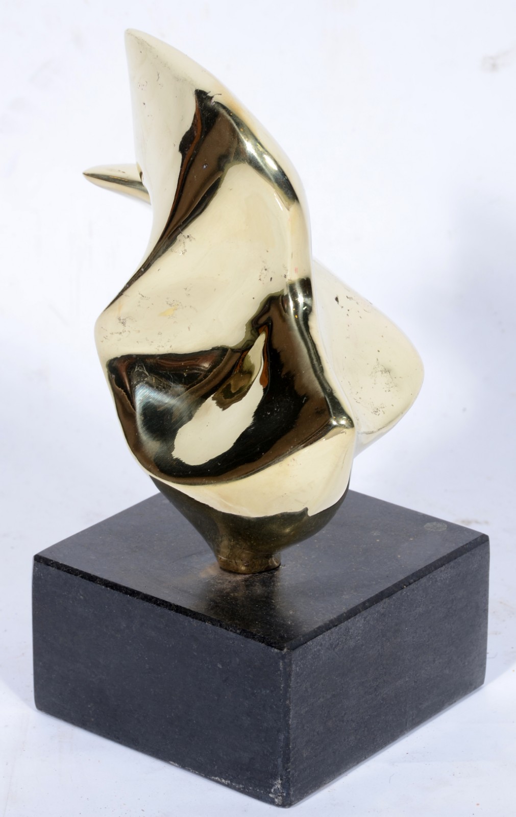 Vera Torres (1962), Pássaro Dourado - foto 2 de 6
