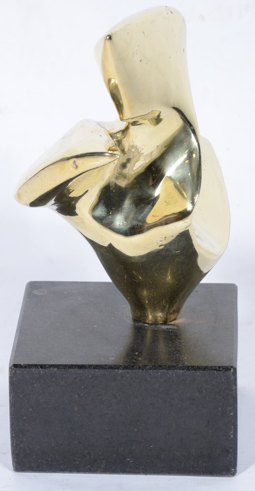 Vera Torres (1962), Pássaro Dourado - foto 5 de 6