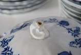 Porcelanas Steatita (1956),  - Aparelho de jantar, chá e café de porcelana Steatita, decoração "cebolinha", composto de: 12 pratos rasos, 12 pratos fundos (um lascado), 12 pratos de
