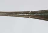 Eberle (1896),  - Faqueiro de metal prateado Eberle, composto de: 16 facas, 12 colheres, 11 garfos grandes; 14 facas, 10 colheres, 11 garfos de sobremesa; 12 garfos, 12