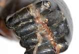 Par de antigas esculturas venezianas representa... - Par de antigas esculturas venezianas representando "Black-a-moor" de madeira ebanizada e realces dourados. Pernas quebradas e coladas e mais alg...