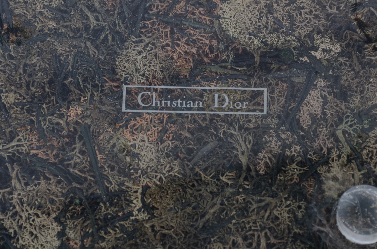 Christian Dior (1946) - foto 3 de 3