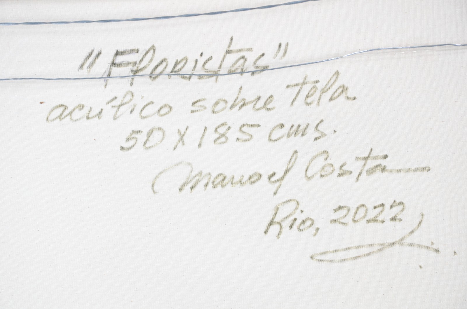 Manoel Costa (1943), Florista - foto 5 de 5