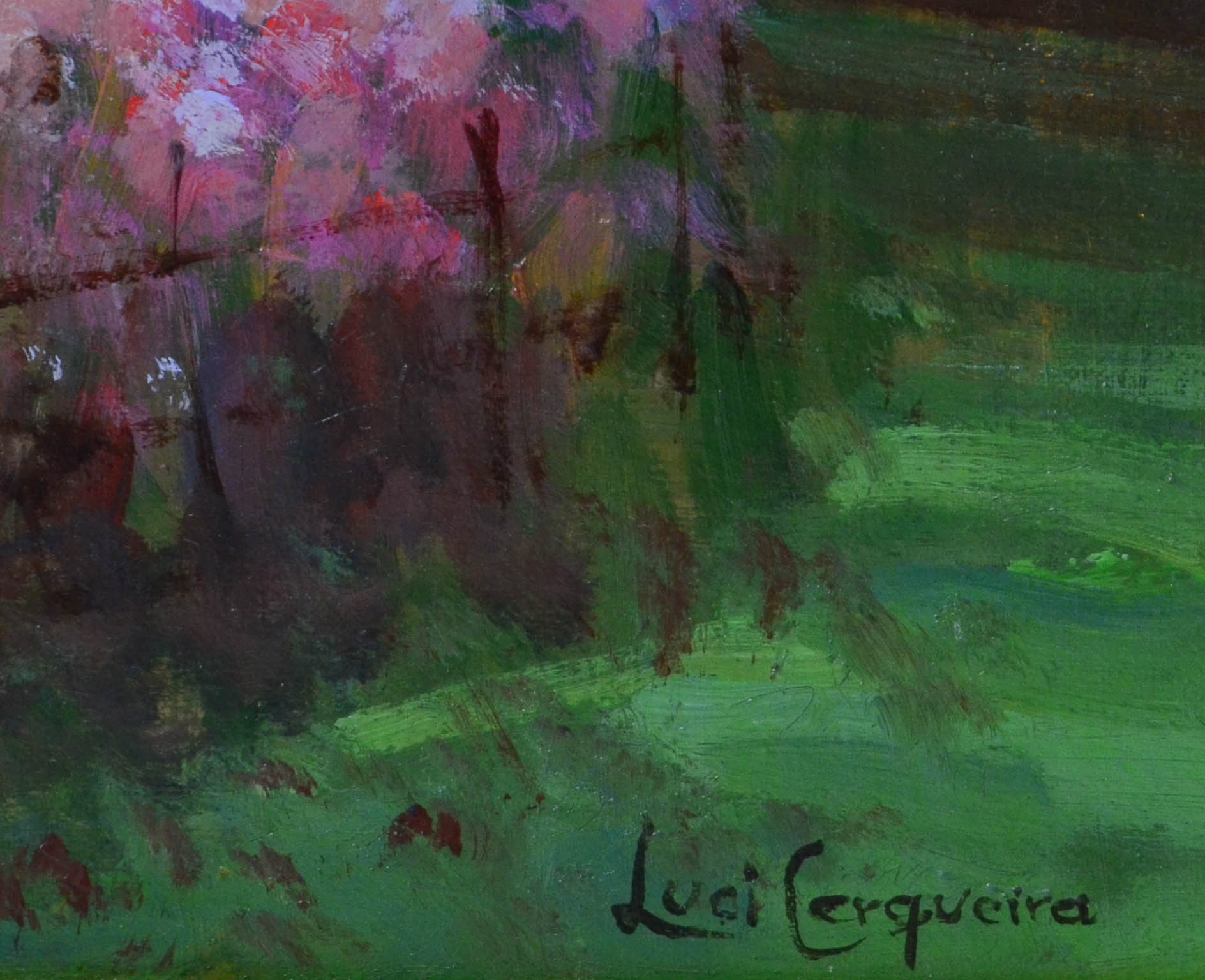 Luci Cerqueira, Flores no jardim - foto 2 de 3