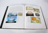 René Lalique (1860-1945),  - Livro: The Art Of Rene Lalique.