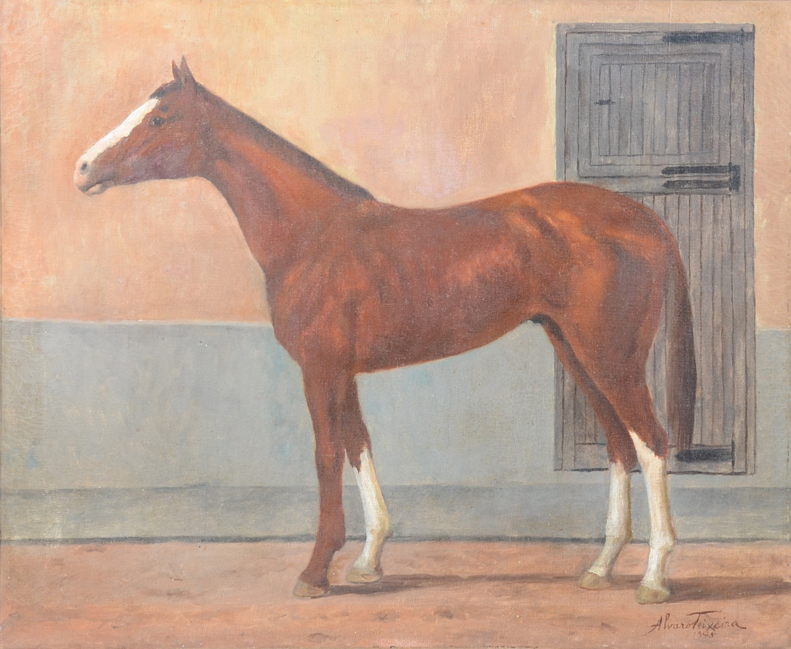 Cavalo - foto 1 de 4