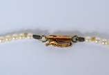 Colar com mini perolas com pendente, fecho em o... - Colar com mini perolas com pendente, fecho em ouro 18 k.  Acompanha pendente. (Por motivos de segurança a peça não se encontra na loja).