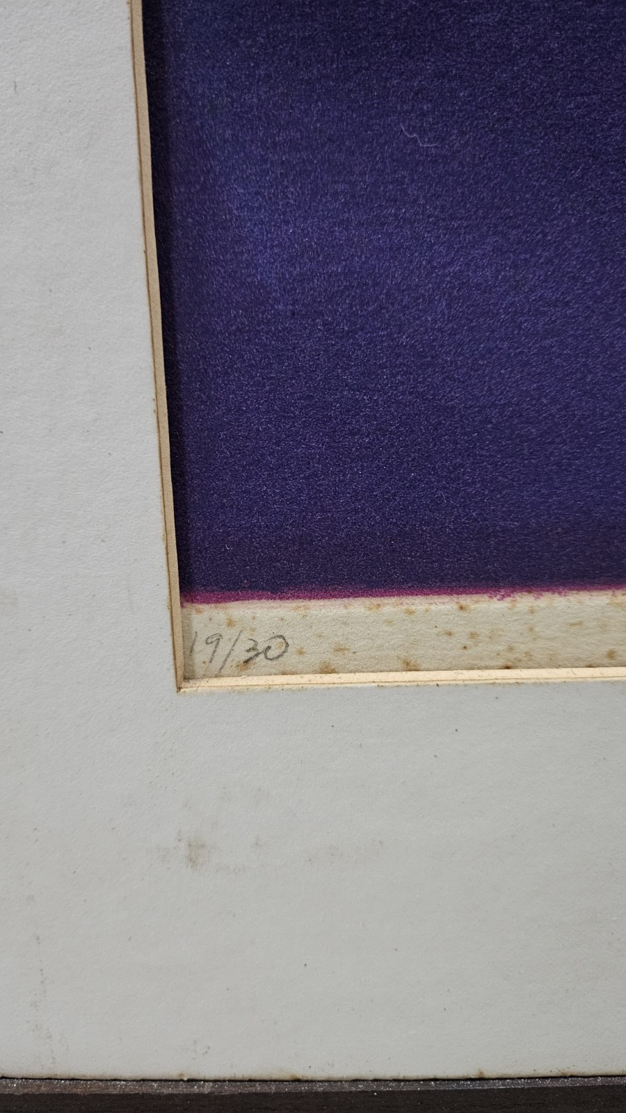 Aldemir Martins (1922-2006), Vaso de flores - foto 5 de 8