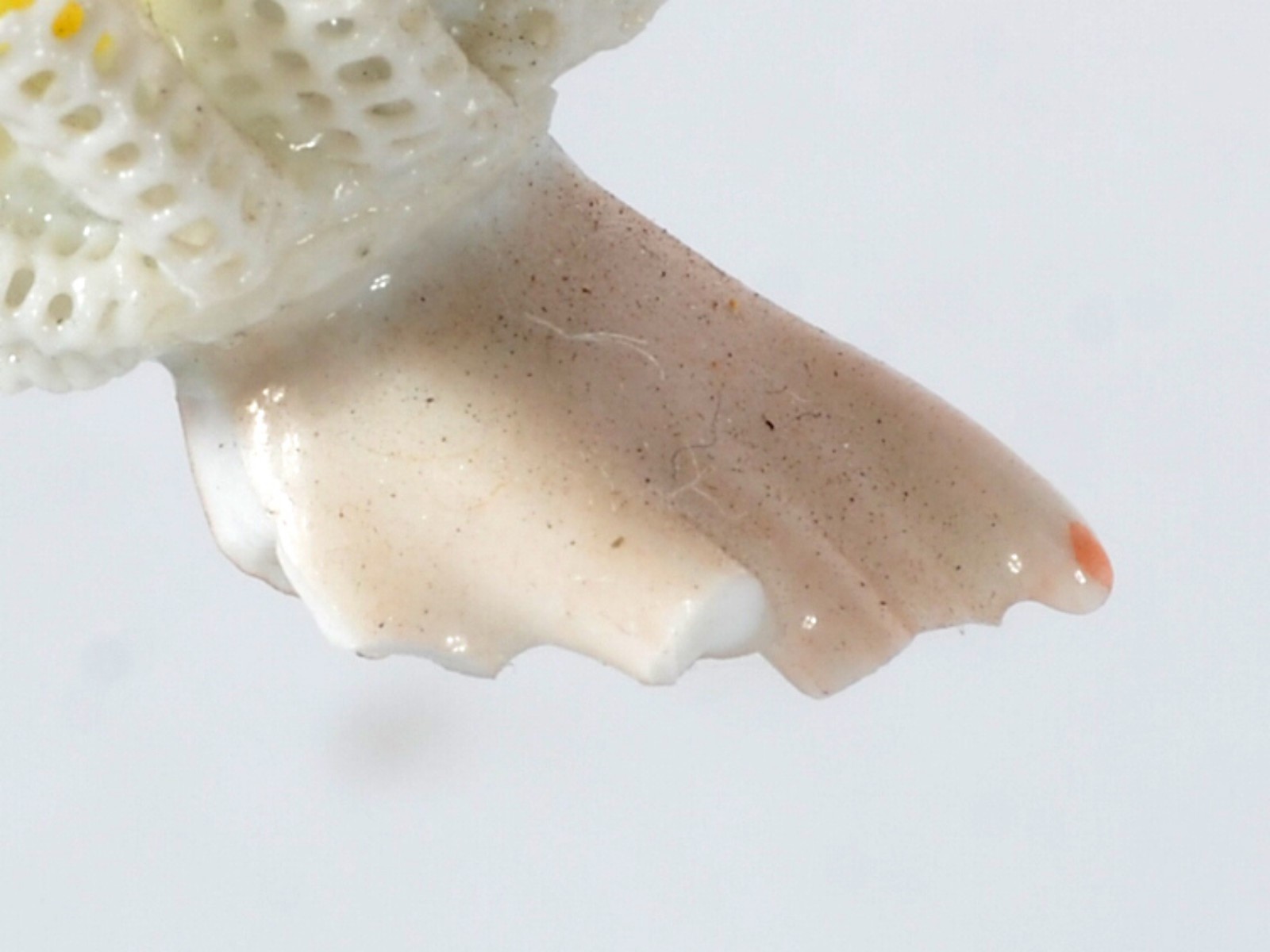 Cinco esculturas de porcelana policromada, sendo uma figura de nobre... - foto 6 de 8