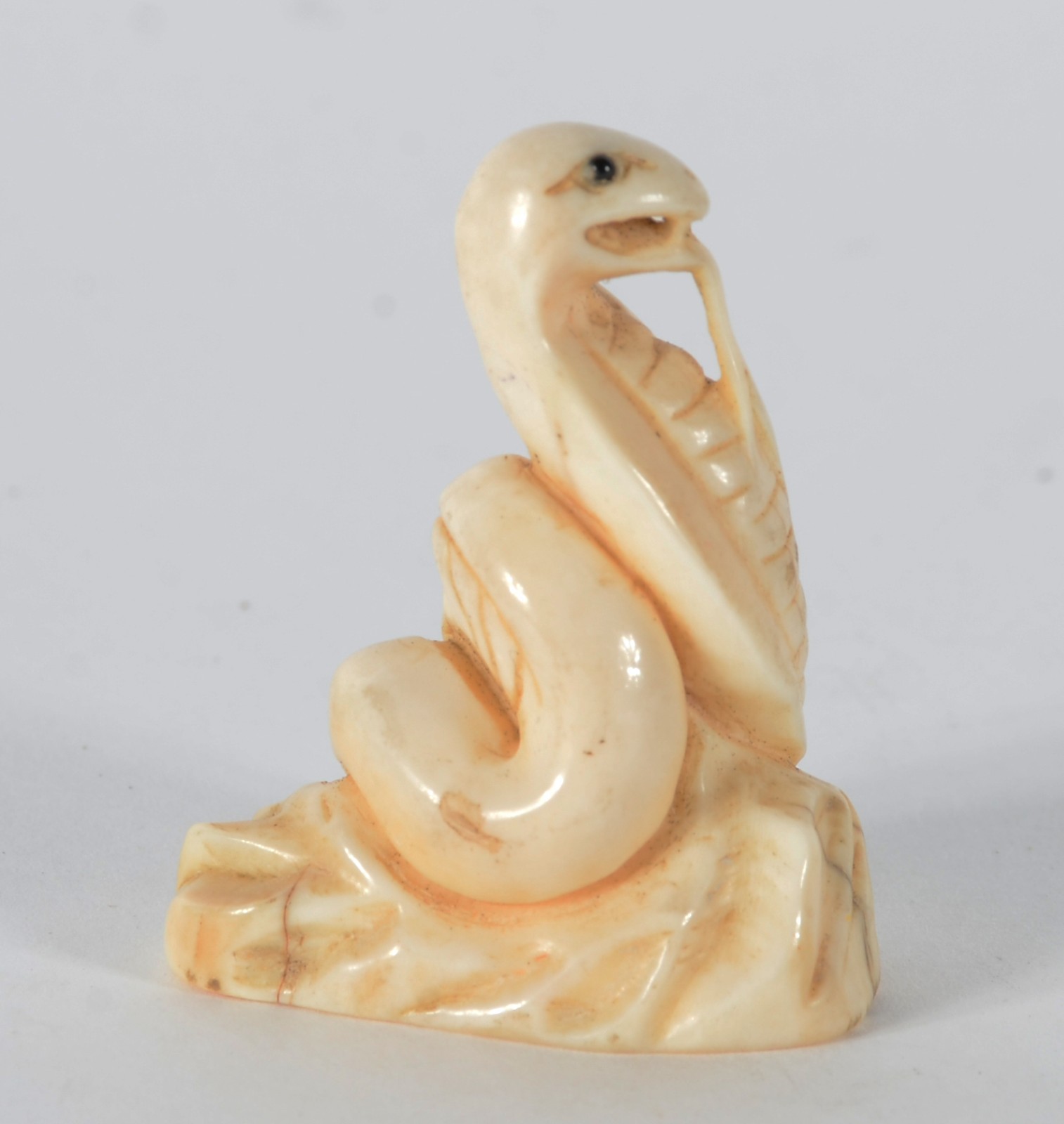 Netsuke de marfim representando cobra naja, assinado. - foto 1 de 6
