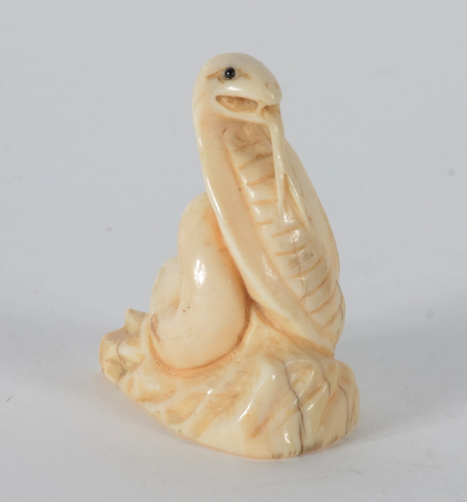 Netsuke de marfim representando cobra naja, assinado. - foto 2 de 6