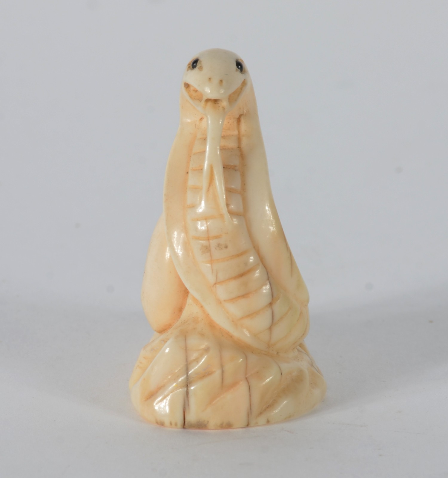 Netsuke de marfim representando cobra naja, assinado. - foto 3 de 6