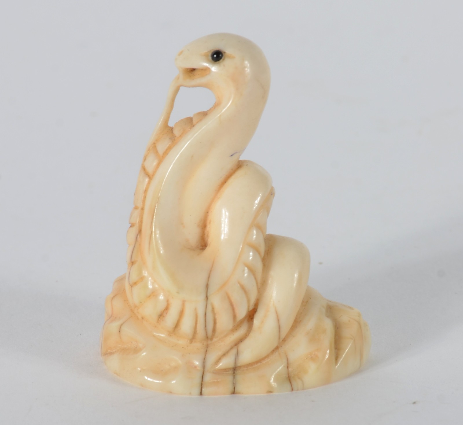 Netsuke de marfim representando cobra naja, assinado. - foto 4 de 6