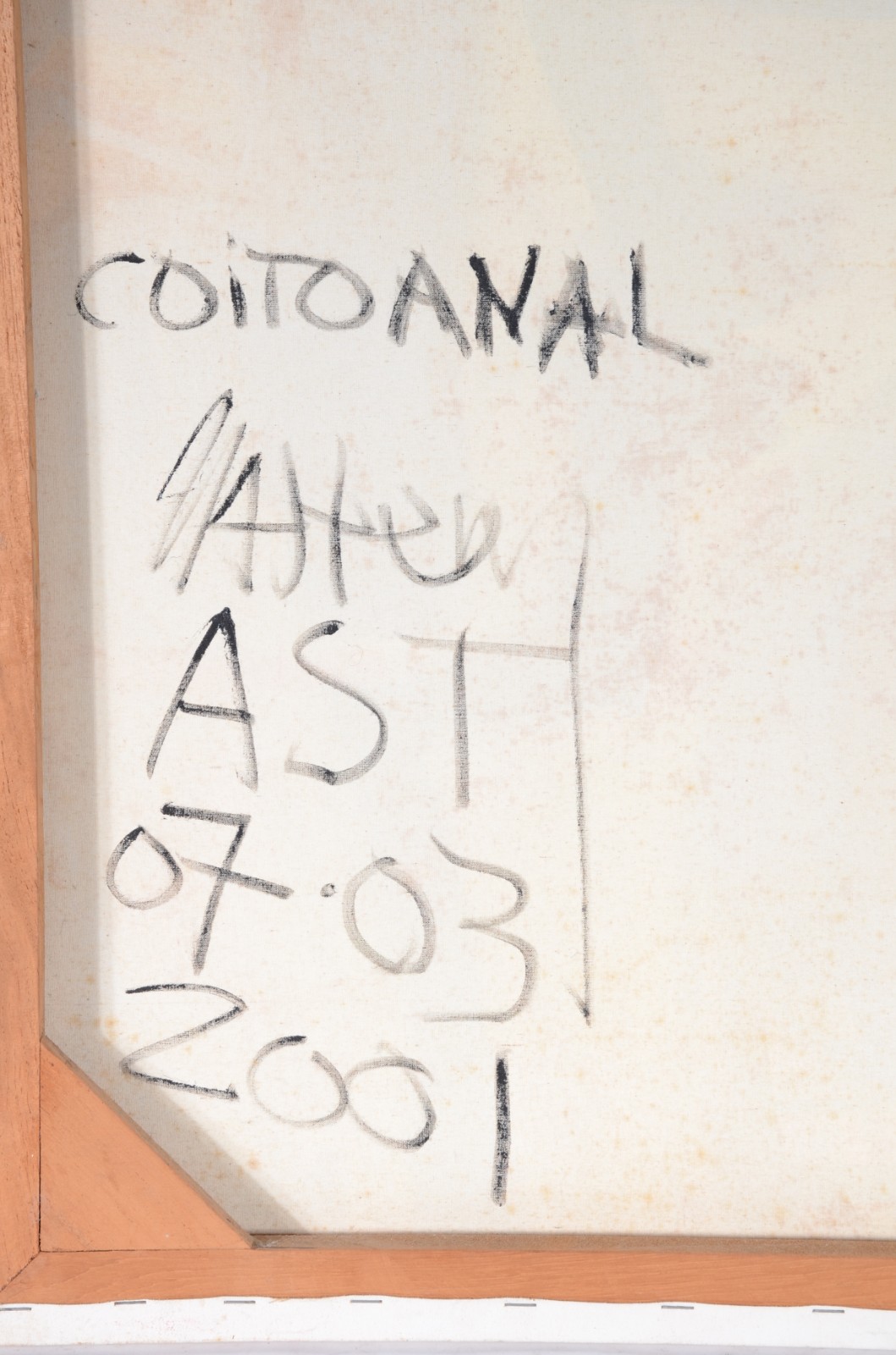 Coito anal - foto 4 de 4