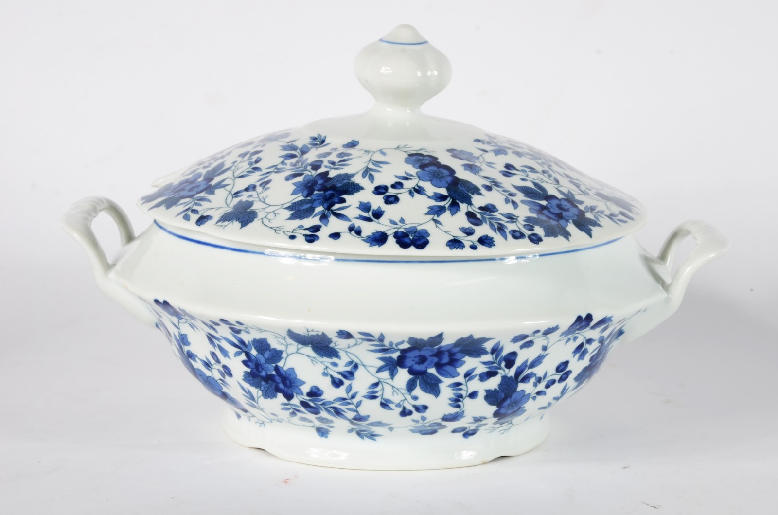 Serviço de jantar de porcelana "cebolinha", composto de: 11 pratos... - foto 2 de 11