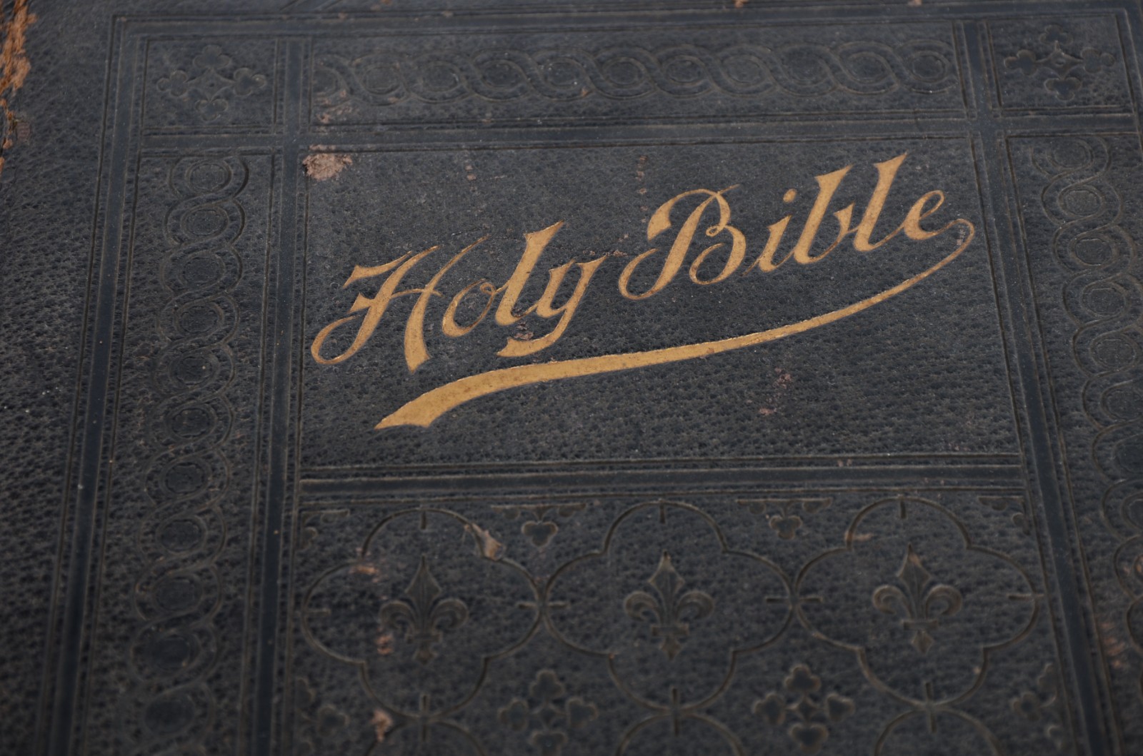 Holy Bible - foto 7 de 8