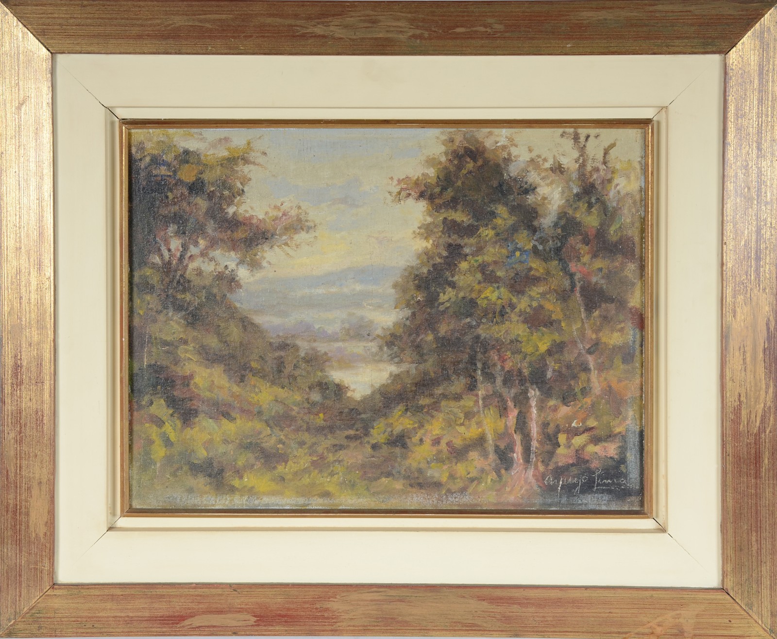 Paisagem - foto 2 de 4