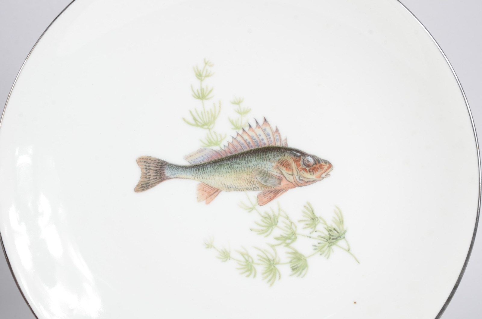 Conjunto com 12 pratos de porcelana para peixe. Acompanham terrina de... - foto 4 de 11