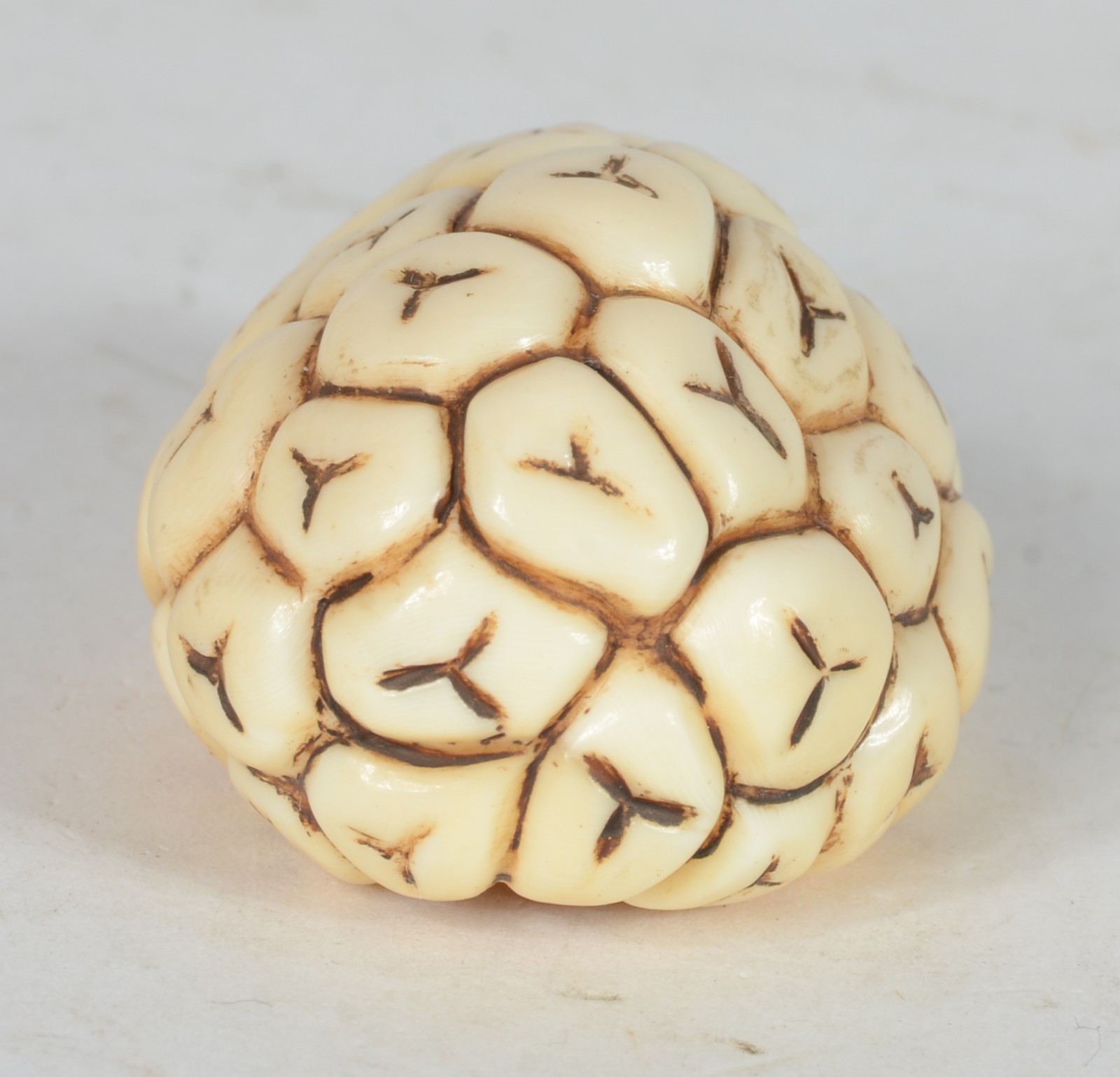 Netsuke de marfim representando tartaruga, assinado. - foto 5 de 6