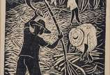 Percy Lau (1903-1972), Cana de Açúcar - Xilogravura - tiragem 12/20.
