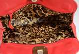 LONG CHAMP,  - Bolsa feminina de couro vermelho, ferragens douradas, alça tiracolo removível, interior com estampa animal print. Pequenos desgastes do uso.