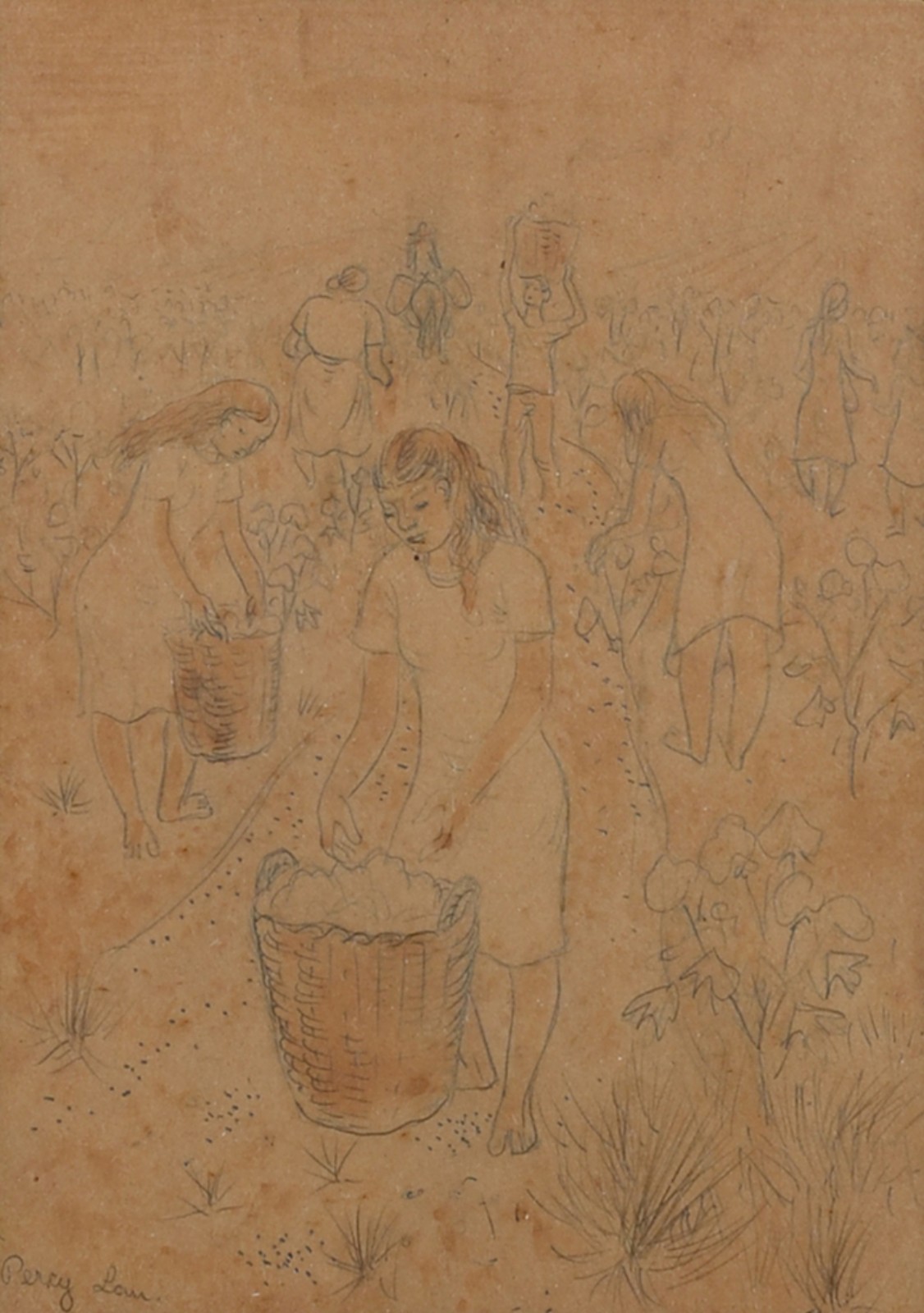 Percy Lau (1903-1972), Colheita de algodão - foto 1 de 6