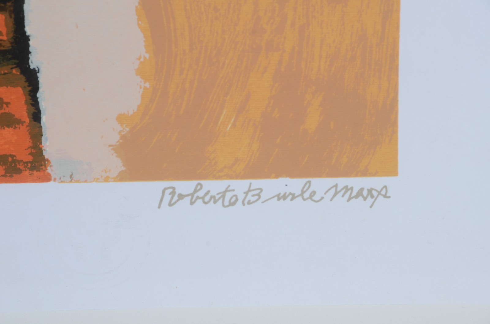 Roberto Burle Marx (1909-1994) - foto 3 de 5