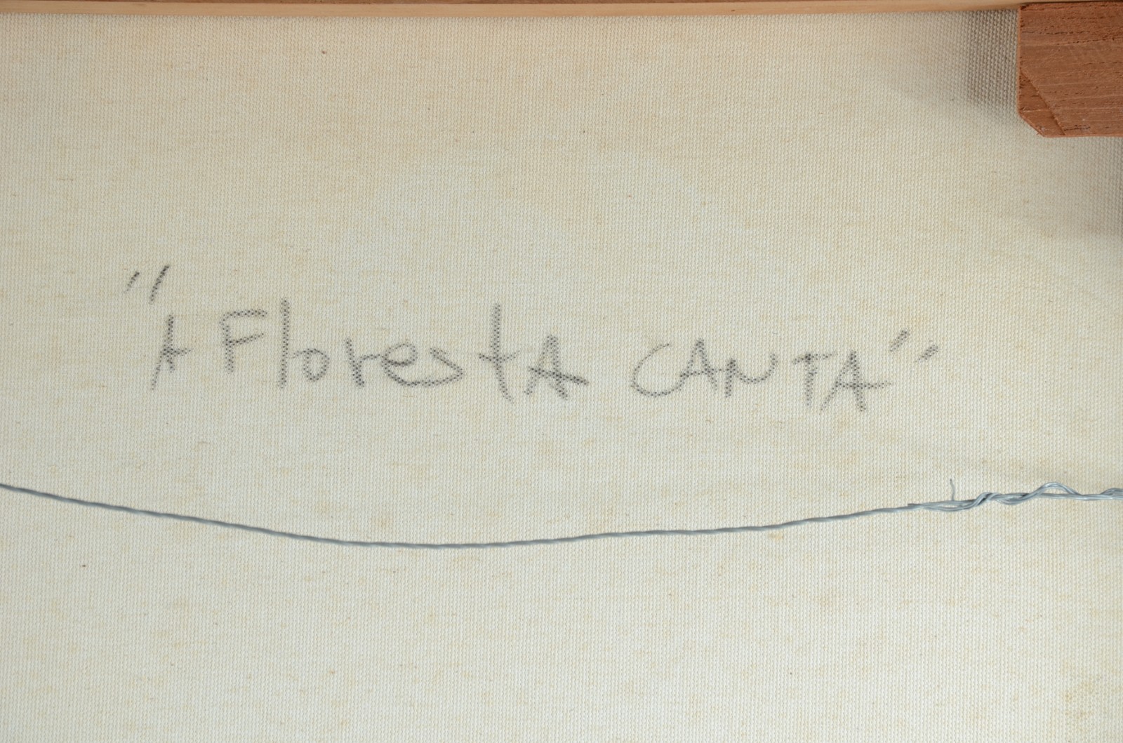 Guilherme Secchin (1952-2016), A Floresta Canta - foto 5 de 5