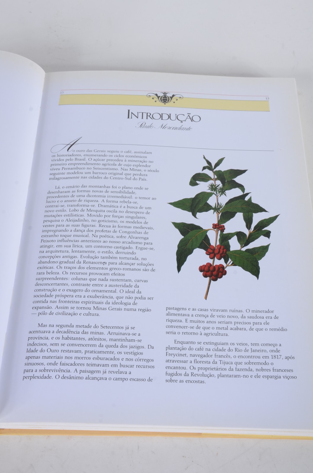 Livro "Fazendas" - Solares da Região Cafeeira do Brasil Imperial. - foto 3 de 7