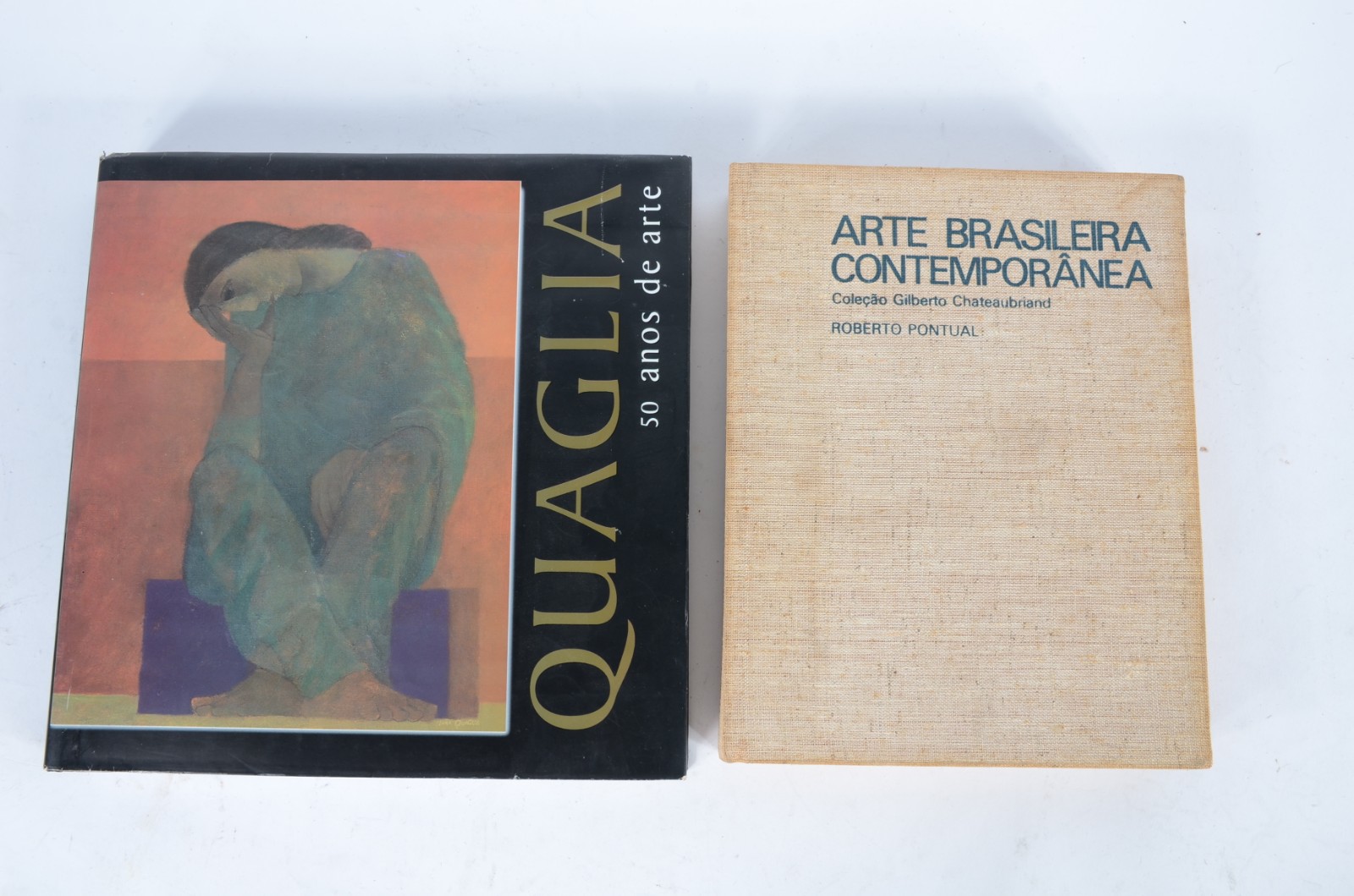 Dois livros: A) Quaglia, 50 anos de arte B) Arte Brasileira... - foto 1 de 11