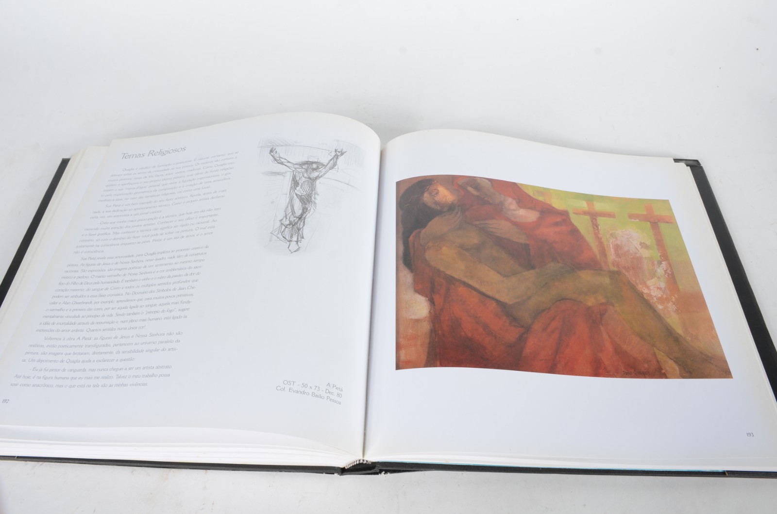 Dois livros: A) Quaglia, 50 anos de arte B) Arte Brasileira... - foto 5 de 11