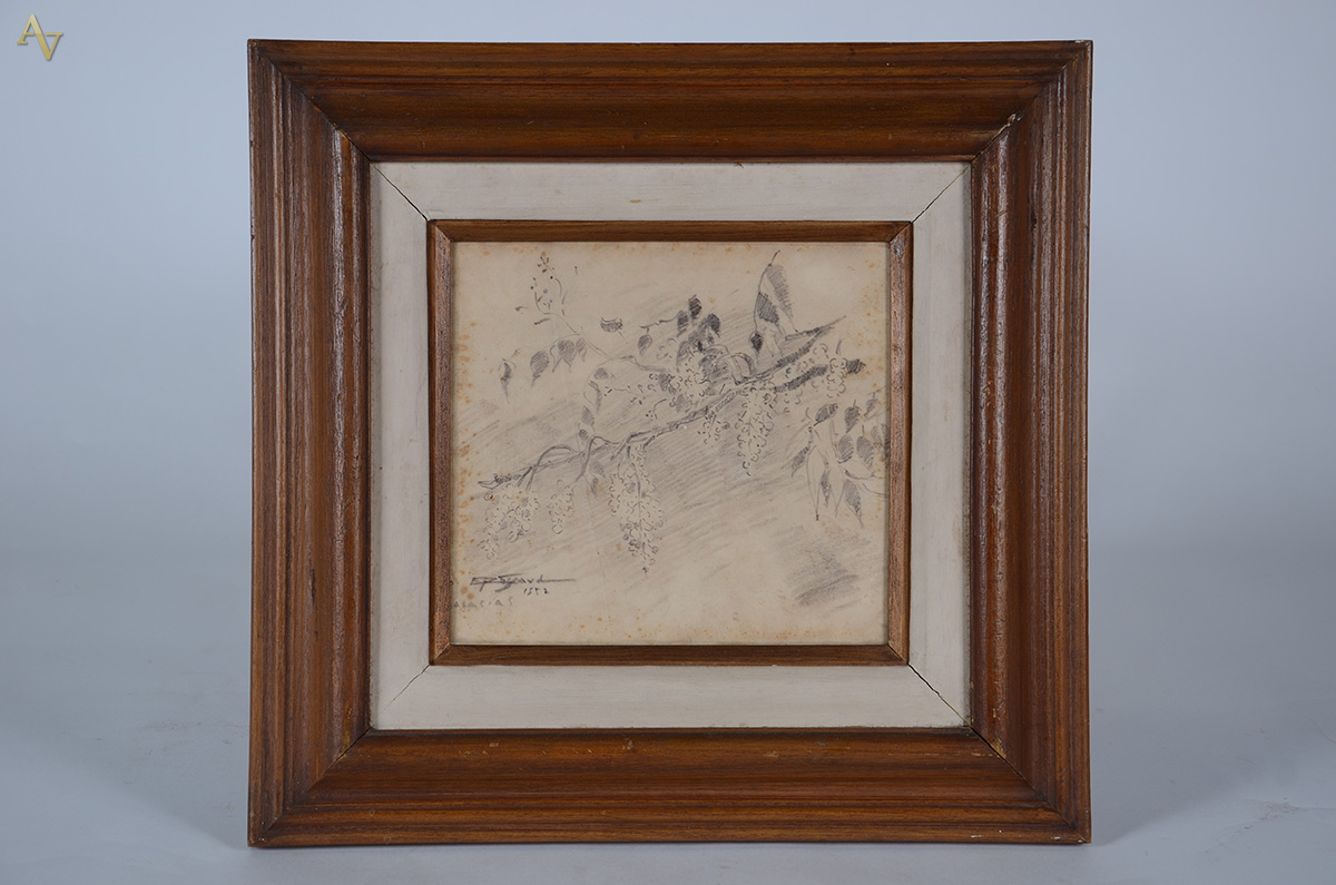 SIGAUD (1899 - 1979) - Acácias - desenho - 21 x 22 - datado 1952 - foto 1 de 3