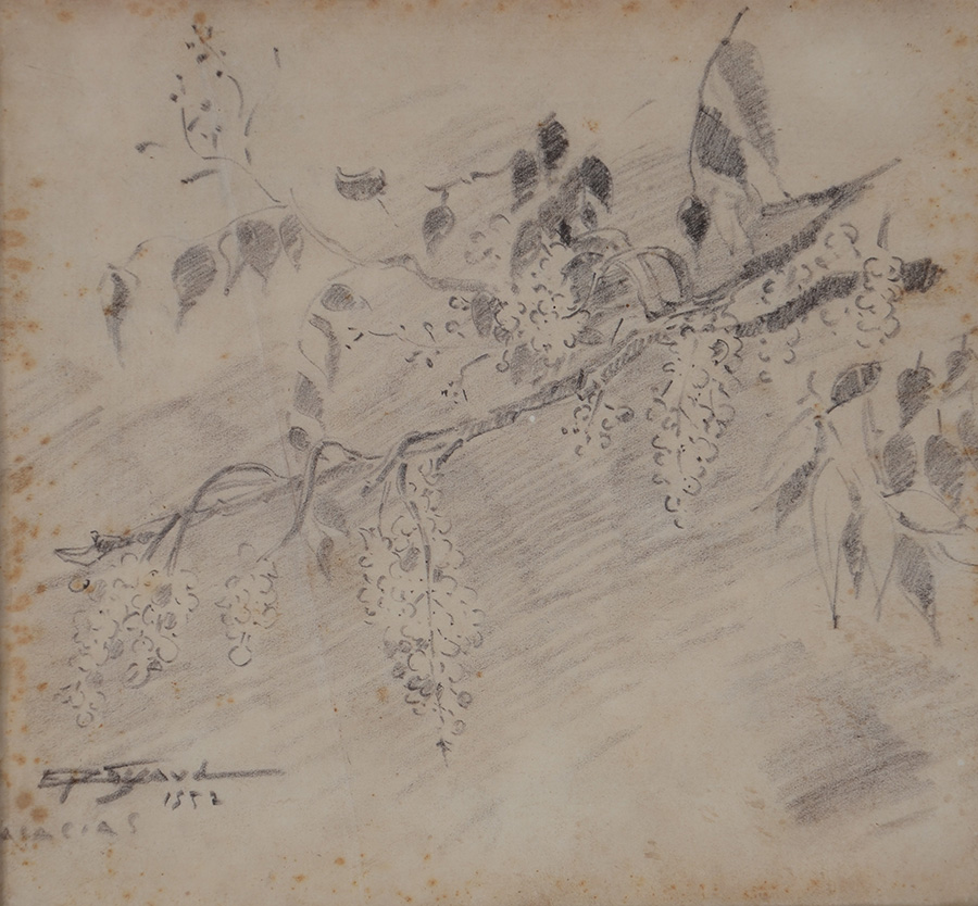 SIGAUD (1899 - 1979) - Acácias - desenho - 21 x 22 - datado 1952 - foto 2 de 3