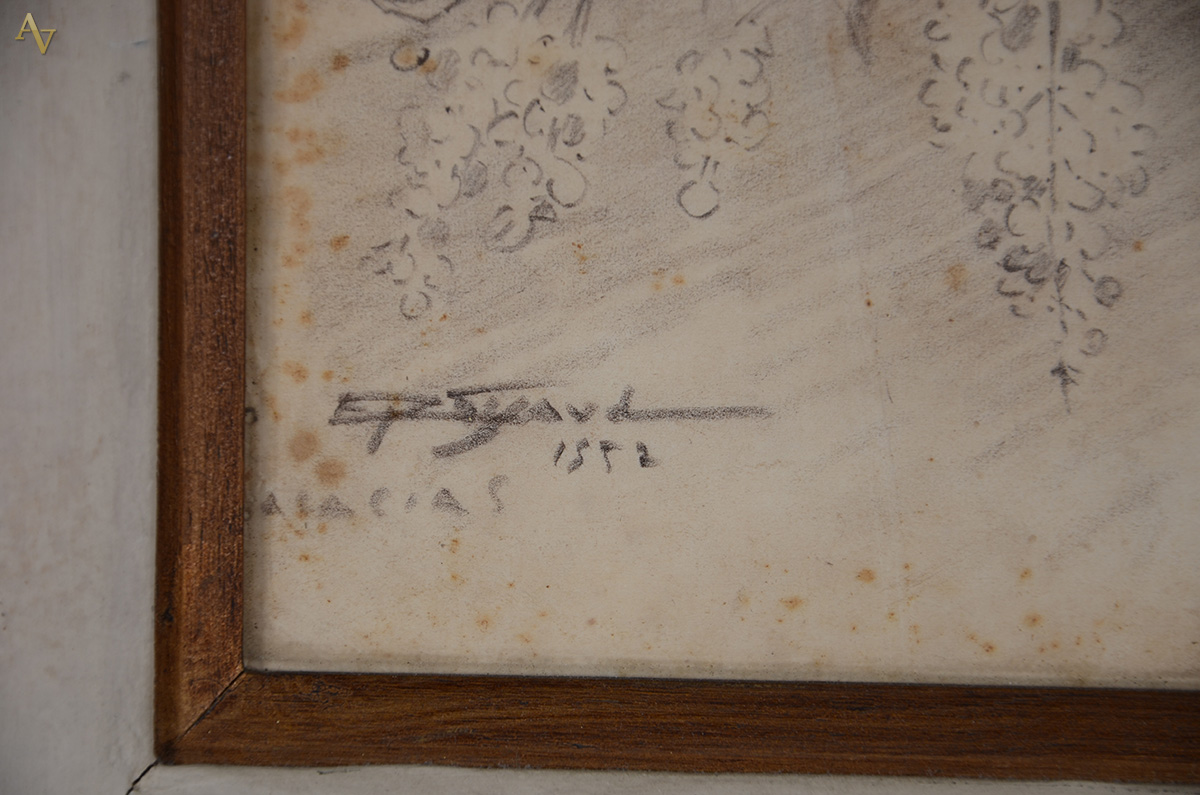 SIGAUD (1899 - 1979) - Acácias - desenho - 21 x 22 - datado 1952 - foto 3 de 3