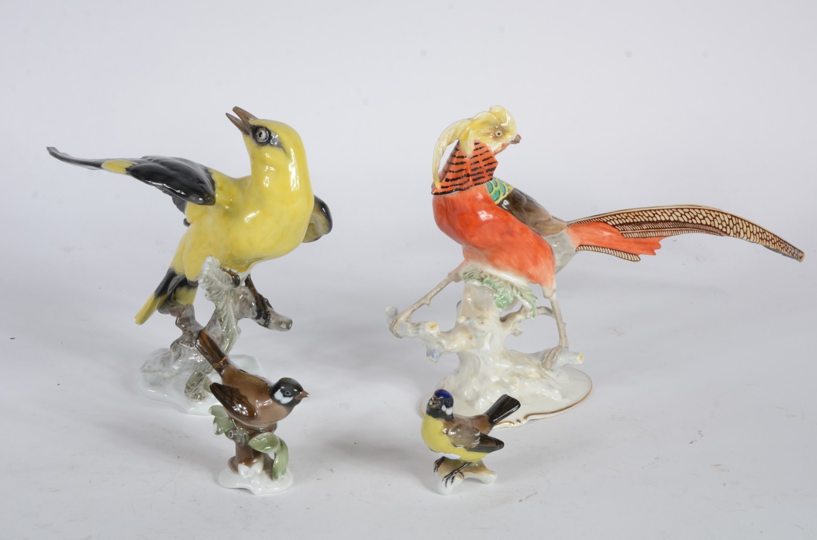 Conjunto com quatro pássaros diversos de porcelana europeia... - foto 1 de 11