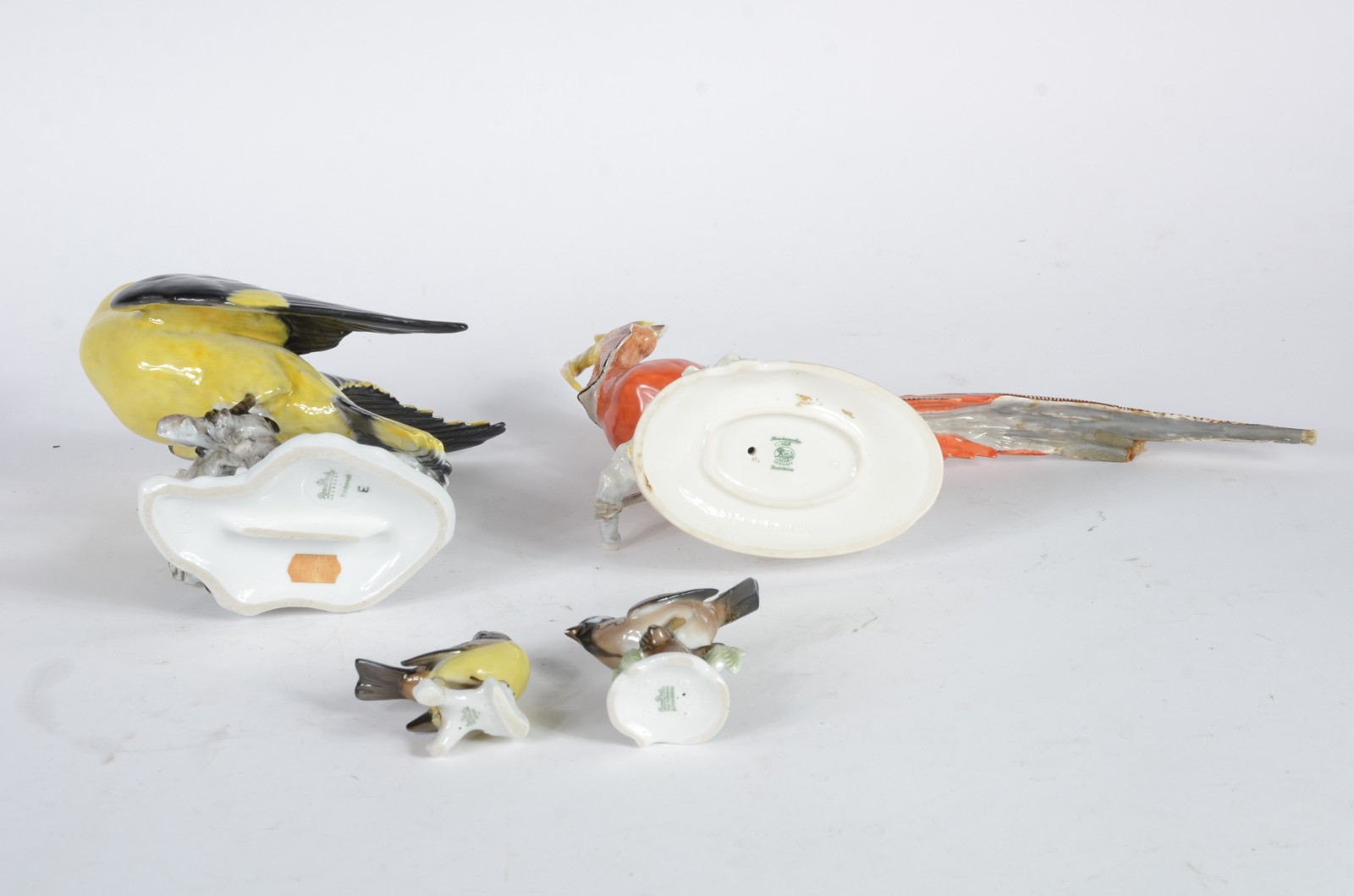 Conjunto com quatro pássaros diversos de porcelana europeia... - foto 9 de 11