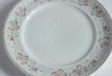 Porcelana Schmidt (1943),  - Aparelho de jantar de porcelana Schmidt na cor branca com borda decorada com folhagens e flores em policromia, composto de: 6 pratos rasos, 11 fundos 