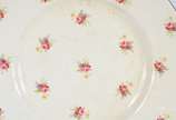 Wood's Ivory Ware,  - Aparelho de jantar de faiança inglesa na cor creme com flores em policromia, composto de: 22 pratos rasos, 12 fundos, 10 de sobremesa, sopeira, molhei