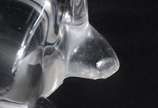 Duas peças, sendo um grupo escultórico de crist... - Duas peças, sendo um grupo escultórico de cristal com figura de urso e outra escultura representando foca.