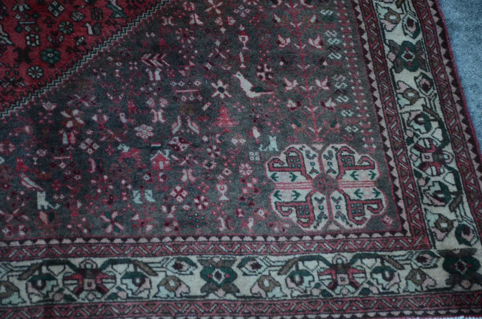 Tapete Afshar - foto 3 de 4
