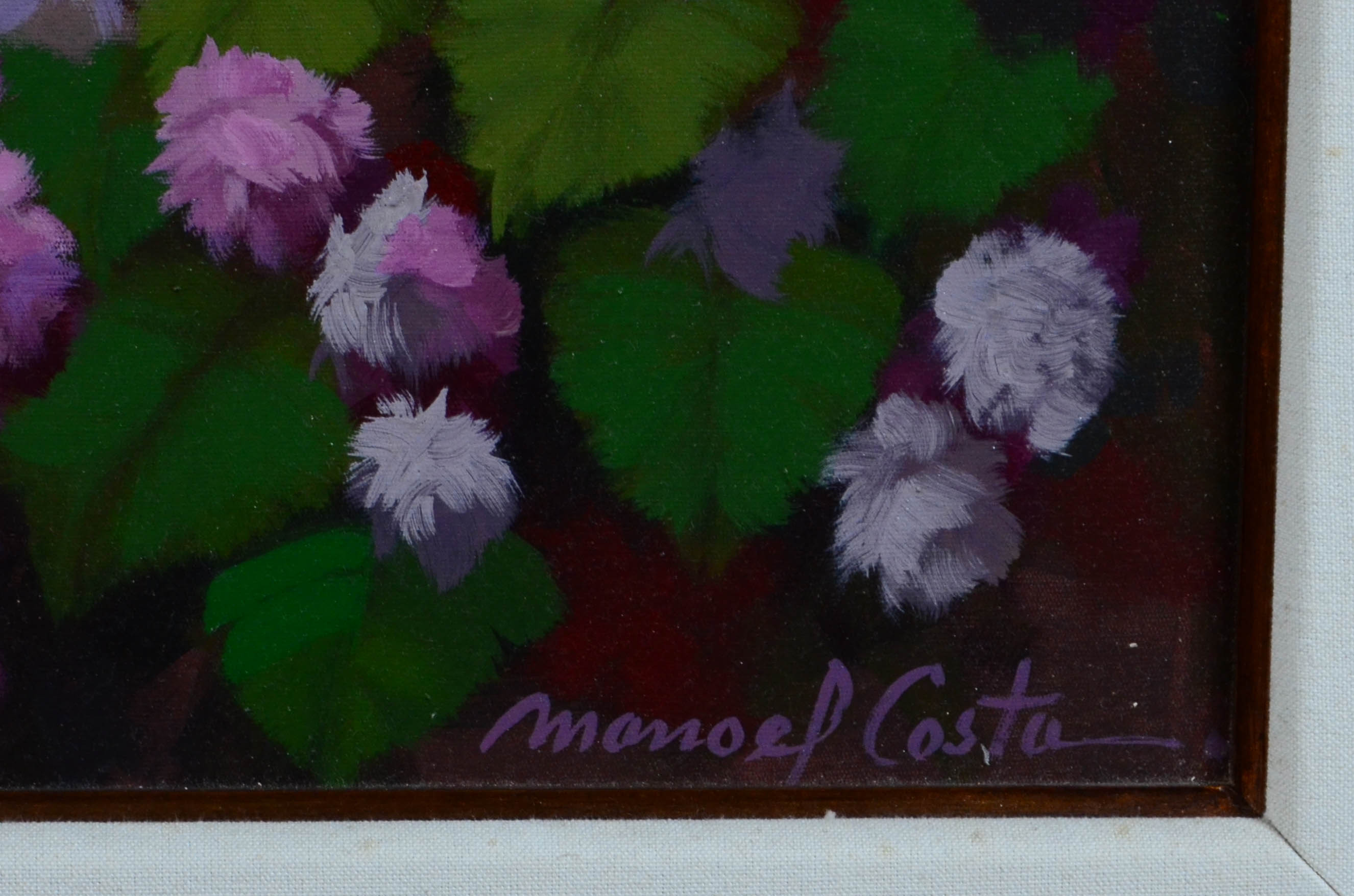 Manoel Costa (1943), Floristas - foto 2 de 4