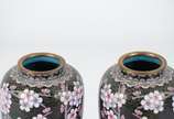 Cloisonné (1300),  - Par de potiches de cloisonné oriental, fundo preto com flores em policromia e realces dourados, bases de madeira.