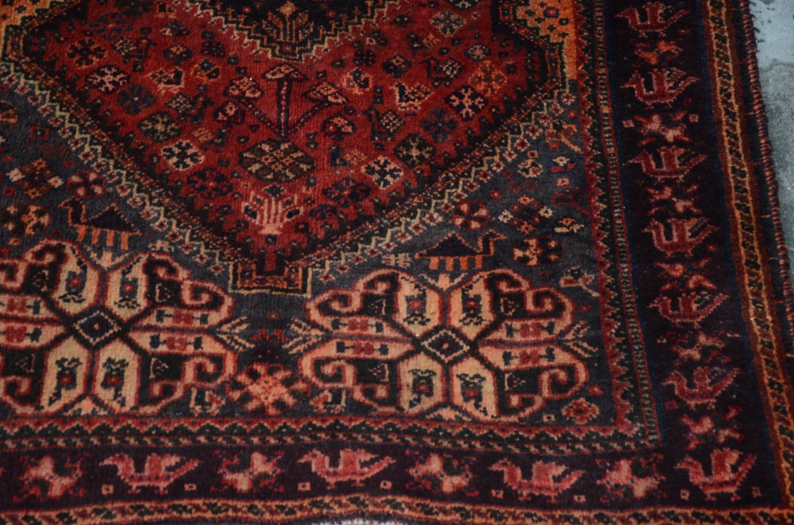 Tapete Shiraz - foto 4 de 4