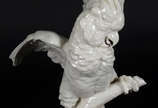 Estatueta de porcelana alemã  Lorenz,  Hutschen... - Estatueta de porcelana alemã  Lorenz,  Hutschenreuther,  representando cacatua branca 