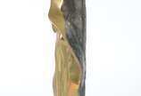 Mario Agostinelli (1915-2000), Nossa Senhora - Escultura de bronze. Assinada.