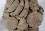 Duas esculturas em pedra na forma de ânfora com... - Duas esculturas em pedra na forma de ânfora com frutas. Lascados e desgastes.