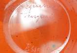 Jaqueline Terpins,  - Vaso de vidro decorativo na cor laranja, assinado.