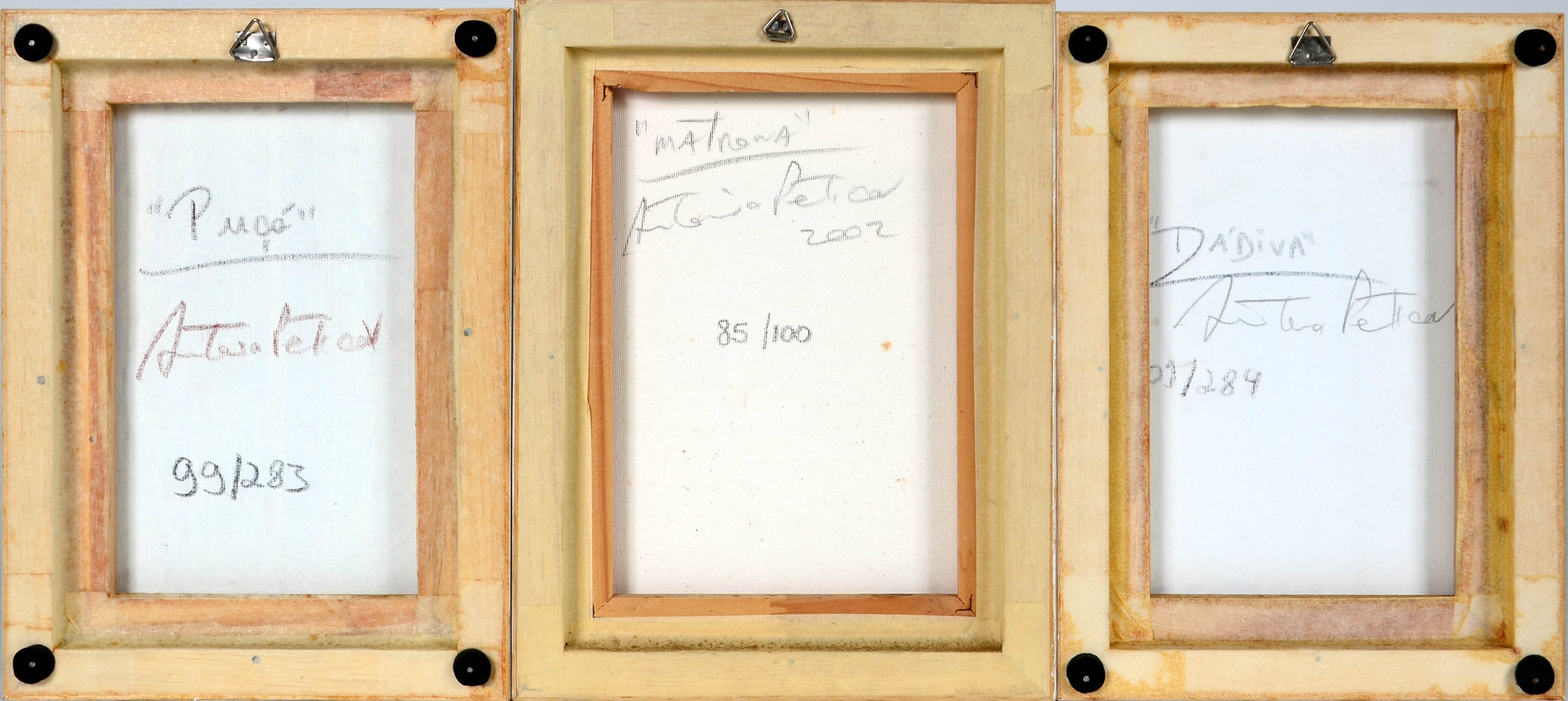 Antonio Peticov  (1946) - foto 2 de 2
