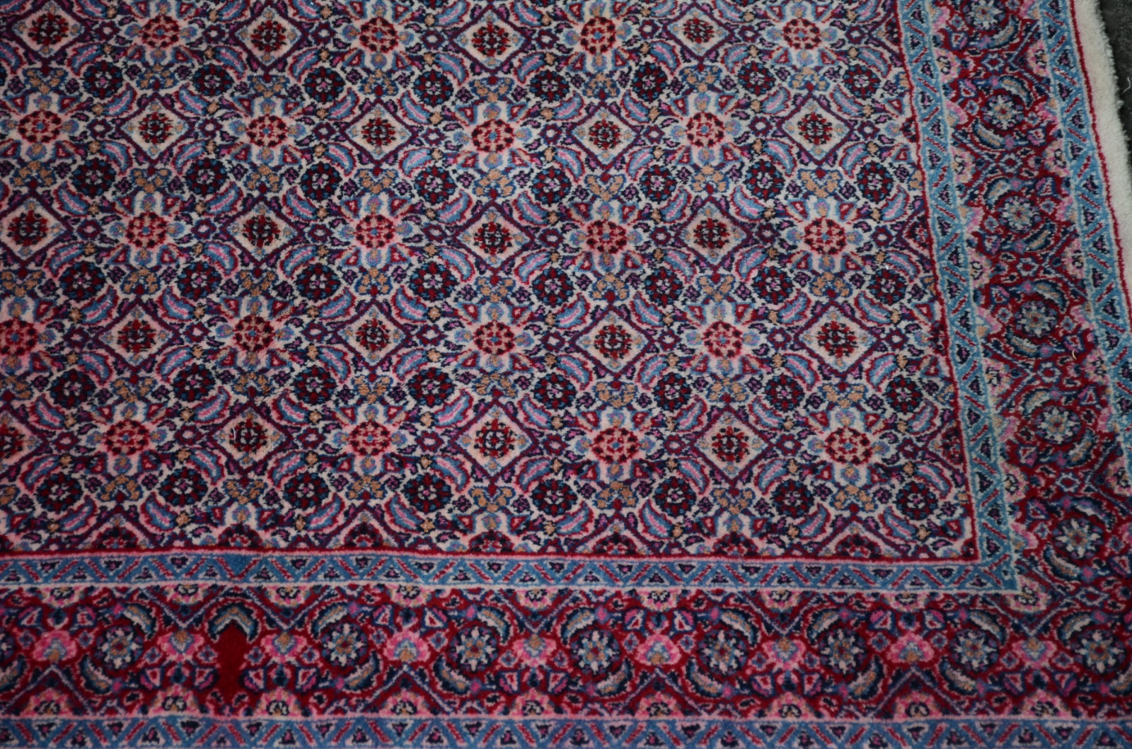 Tapete Moud - foto 3 de 4